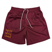Syced Siced Cised Mesh Shorts | Commanders